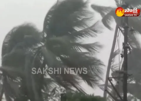 Heavy Rain At Parvathipuram in Vizianagaram  - Sakshi