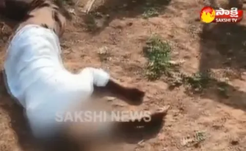 a couple dies in Karimnagar district - Sakshi