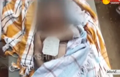 NEW BORN BABY DIED DUE TO DOCTORS NEGLIGENCE IN WARANGAL CKM HOSPITAL - Sakshi