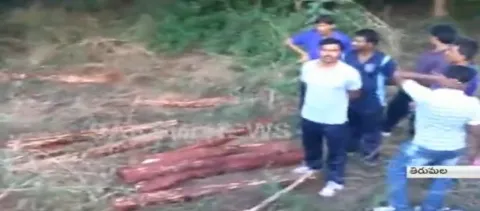 Red Sandal Wood Smugglers Attack on Task Force Police in Chandagiri - Sakshi