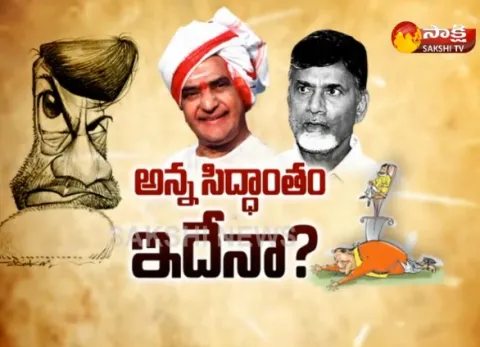 Special Edition on TDP Mahanadu - Sakshi