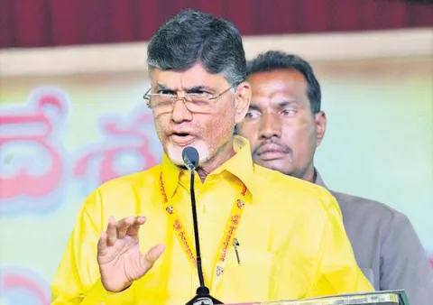 Chandrababu Naidu tell lies in TDP Mahandu Over Farmers Lands - Sakshi