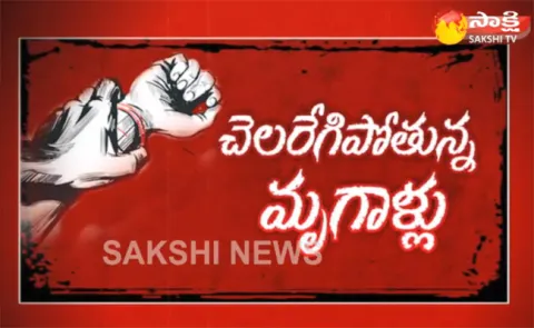 The Fourth Estate 4th May 2018 Rape Cases in Chandrababu Government - Sakshi