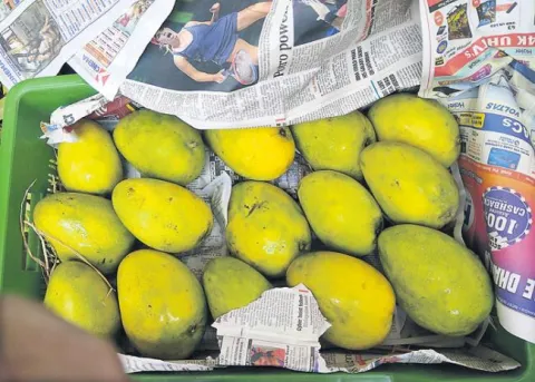 Indian traders using ethylene powder sachets from China to ripen fruit - Sakshi