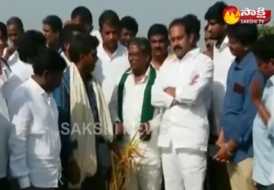 YSRCP Farmers Wing President MVS Nagi Reddy Demand Compensation for damaged crops in West Godavari - Sakshi