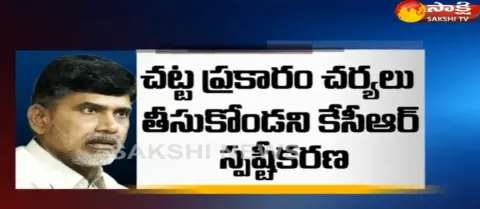 AP CM Chandrababu  is A1 Culprit in Cash for vote scam  - Sakshi