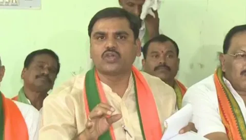 Vishnuvardhan Reddy Slams Cm Chandrababu Naidu - Sakshi