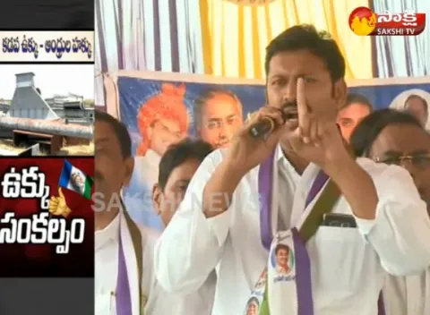 YSRCP Leaders Fires on TDP Govt Over Kadapa Steel Factory - Sakshi