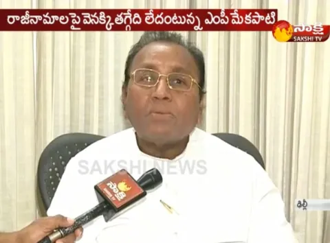 YSRCP MP Mekapati Rajamohan Reddy Slams Chandrababu Over Resignations - Sakshi