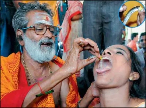 Hyderabad fish prasadam on June 8, 9 - Sakshi