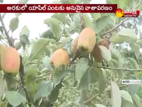  - Sakshi