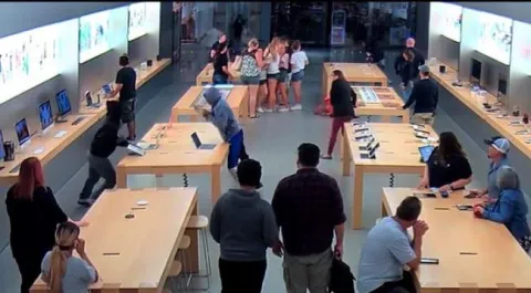Rs.19 lakh worth of Apple products stolen from Apple Store in Califorrnia - Sakshi