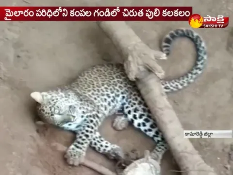  - Sakshi