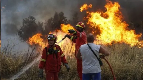 Greece wildfires-Search for missing family members after 80 people die - Sakshi