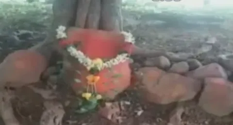 Kshudra Pooja Hulchul In Krishna Dist  - Sakshi