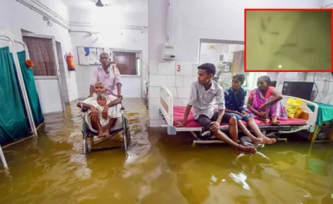 Rainwater In Patna Nalanda Medical College ICU - Sakshi