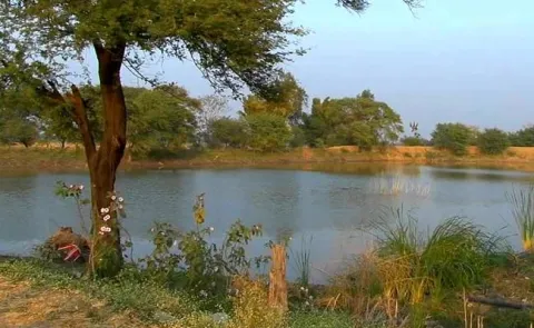 All Ponds Attach To Projects - Sakshi