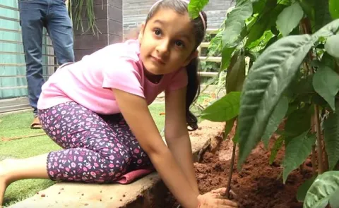 Mahesh Babus Daughter Sitara Is Happy To Assist Him In The Green Challenge - Sakshi