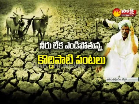  - Sakshi