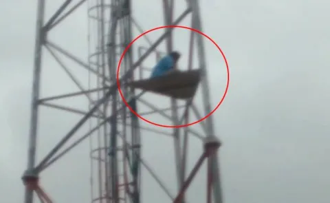       Home     TV9     NTV     TV5     ABN     V6     10TV     6TV     Studio N     Mahaa TV     HMTV     T News  Man Climbs Cell Tower Demanding AP Special Status In Anantapur District - Sakshi