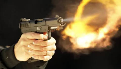 Karimnagar Man Shoots Pregnant Wife - Sakshi