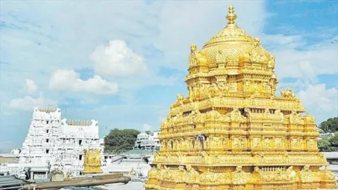 CIC asks where are ornaments donated by 16th century ruler to Tirupati temple - Sakshi