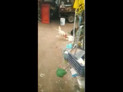  - Sakshi