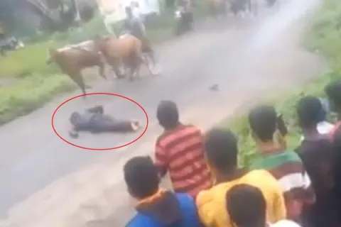 Man dies during horse cart racing in Karnataka - Sakshi