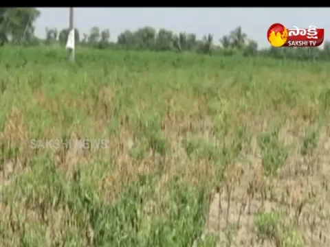  - Sakshi