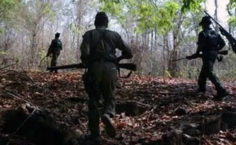 Five Maoists Killed In Encounter In Malkangiri - Sakshi