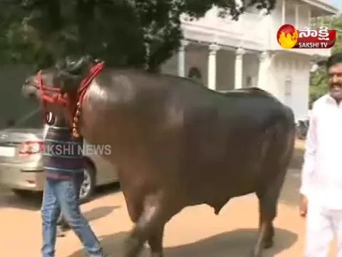 - Sakshi