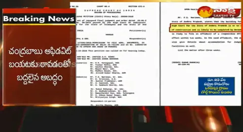 Chandrababu Book In High Court Issue - Sakshi