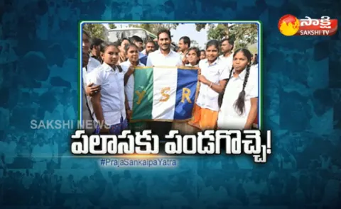 YS Jagan padayatra enters the palasa Assembly constituency - Sakshi