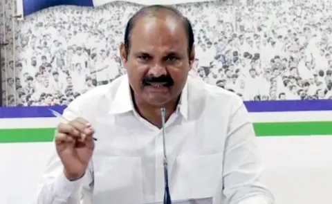 YSRCP Leader Parthasarathi Comments On Pawan Kalyan - Sakshi