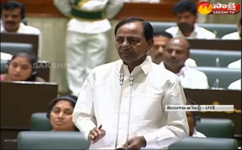 Telangana, Cm KCR Speech At  Assembly On Thanks To Governor Speech  - Sakshi