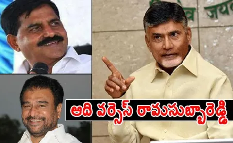 Adinarayana Reddy and Rama Subba Reddy to Hold Meet With Chandrababu Naidu - Sakshi