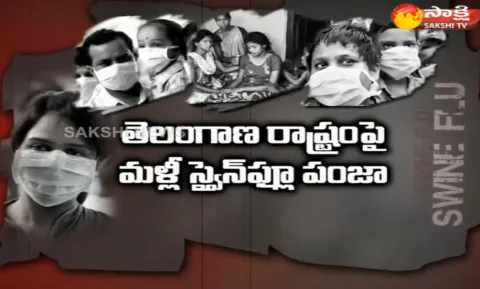 swine flu cases in telangana - Sakshi