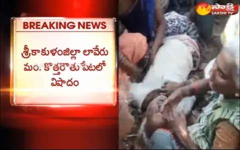 Four Members in family Died Due To Current Shock - Sakshi