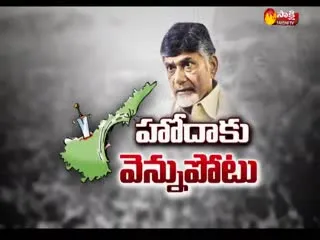 Magazine Story 21st March 2019 - Sakshi