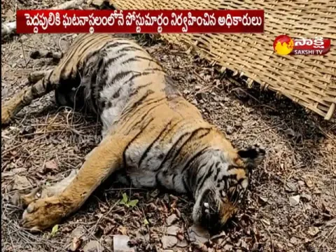  - Sakshi