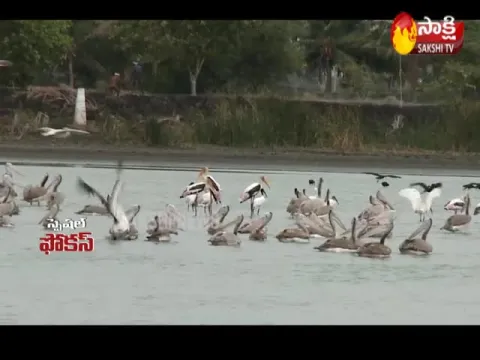  - Sakshi