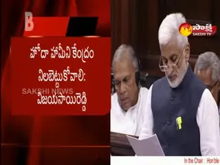Ysrcp Mp VIjaya Sai Reddy Speech In Rajya Sabha - Sakshi