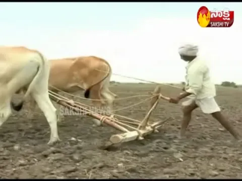 Telugu state farmers waiting for rains