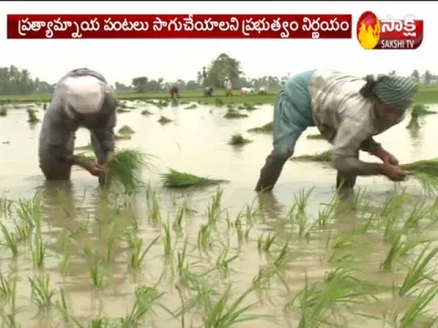 Kharif sowing hit by deficit rains
