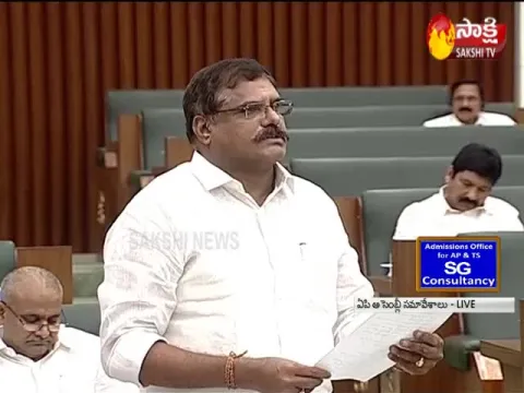 Botsa Satyanarayana Speech About House Construction 