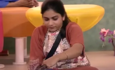 Bigg Boss 3 Telugu Punarnavi Obeyed Bigg Boss Rules - Sakshi