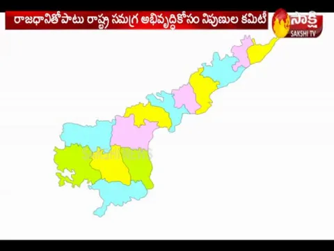 Expert Committee on AP Capital and State Development