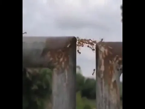  - Sakshi