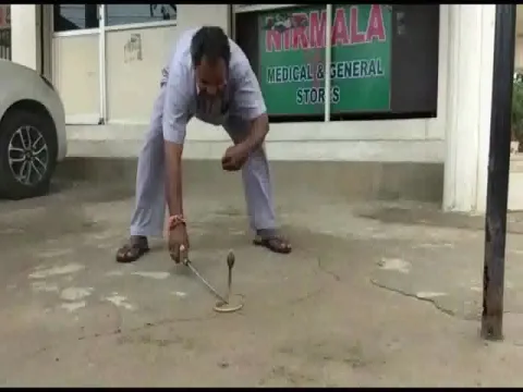 Snake Found in Scooty At Medchal