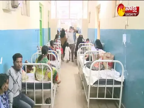 Dengue Fever Cases In Telangana